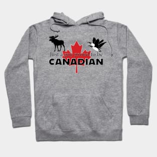 Proud Canadian Guy Hoodie